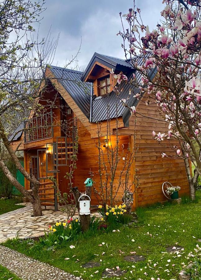 Blue Village 8 Kolašin Exteriér fotografie